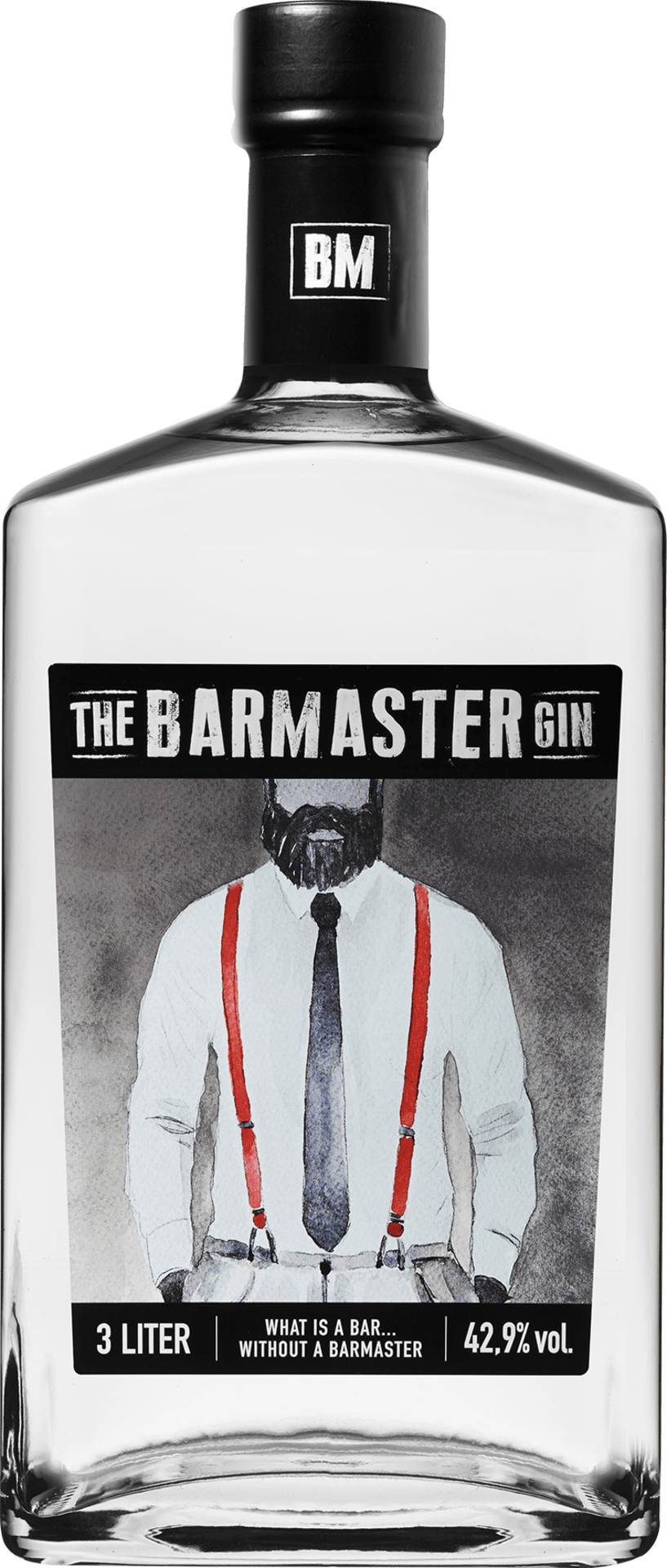 The Barmaster Gin Doppelmagnum