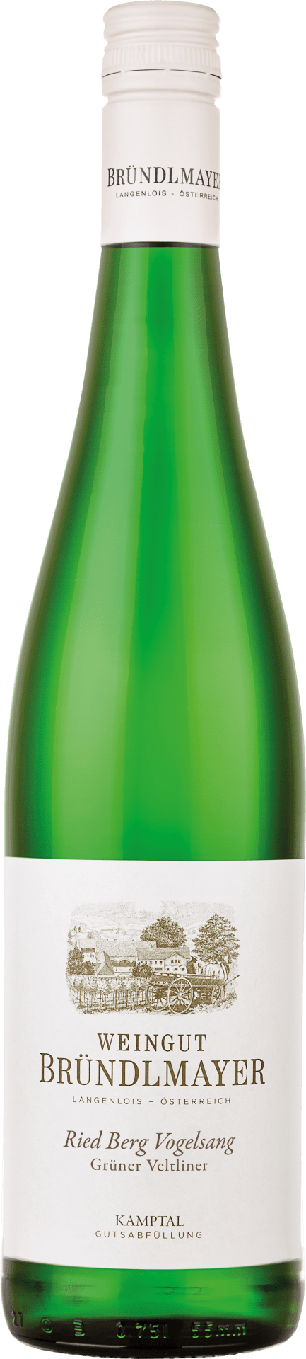 Grüner Veltliner Berg Vogelsang