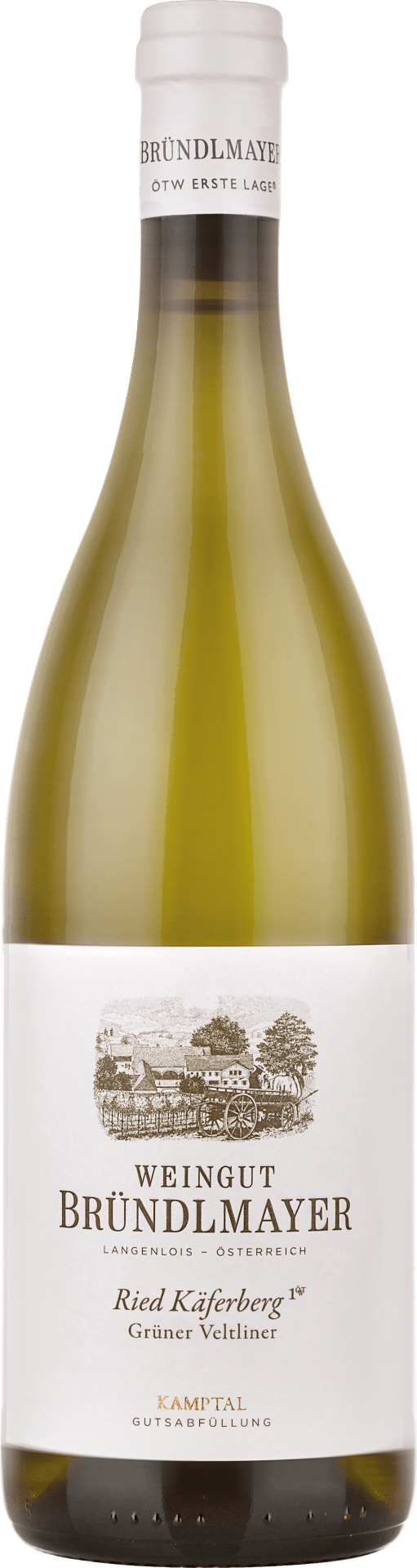 Grüner Veltliner Käferberg Kamptal DAC 1ÖTW