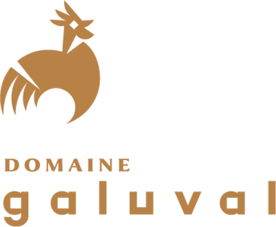 logo_Domaine de Galuval