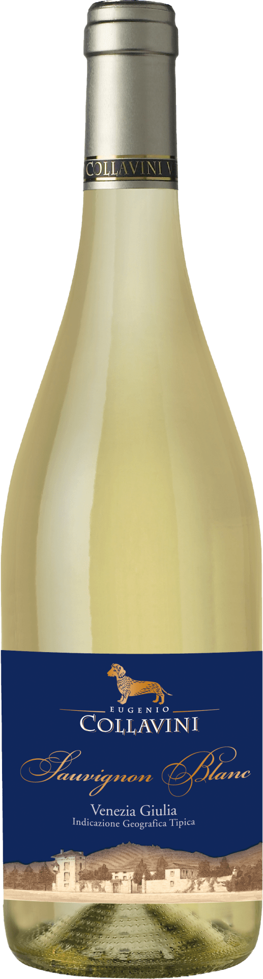 Sauvignon Blanc IGT