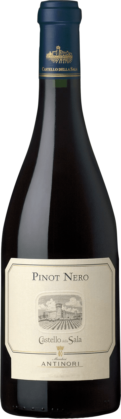 Pinot Nero Umbria IGT