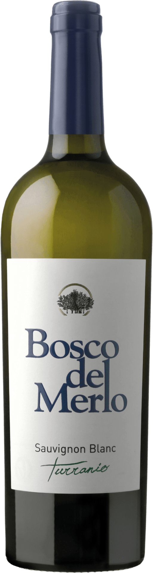 Sauvignon Blanc Turranio DOC Friuli 