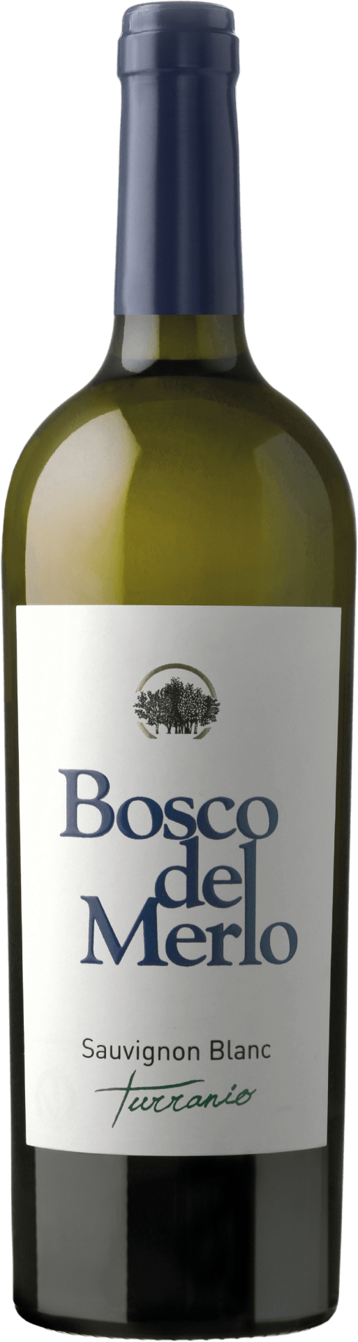 Sauvignon Blanc Turranio DOC Friuli