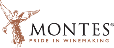 logo_Montes
