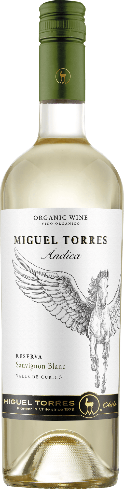 Andica Sauvignon Blanc Reserva