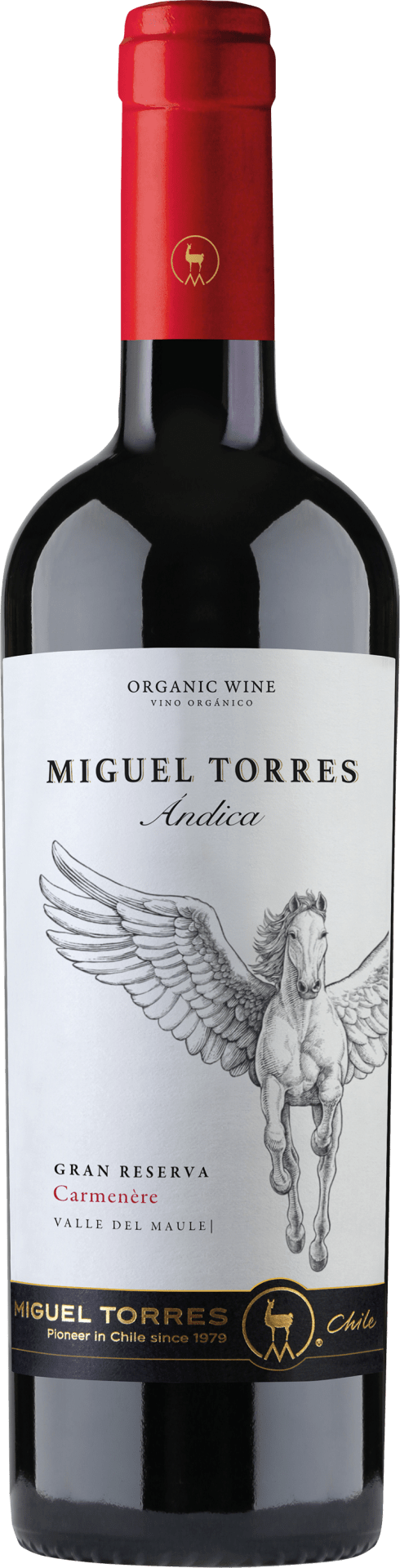 Andica Carmenere Torres