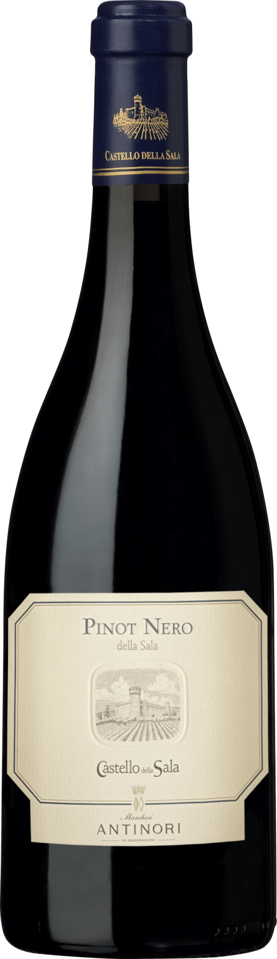 Pinot Nero Umbria IGT